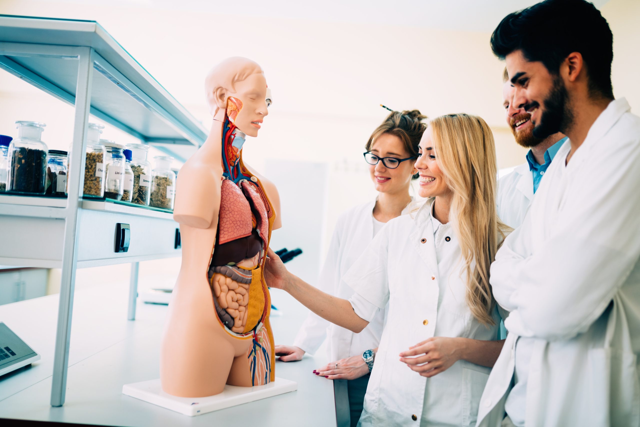 Dauer und Ablauf des Medizinstudiums: Das solltest du wissen